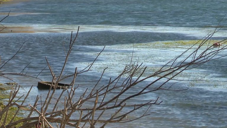 Непонятные разводы на поверхности Ангары обнаружили иркутяне